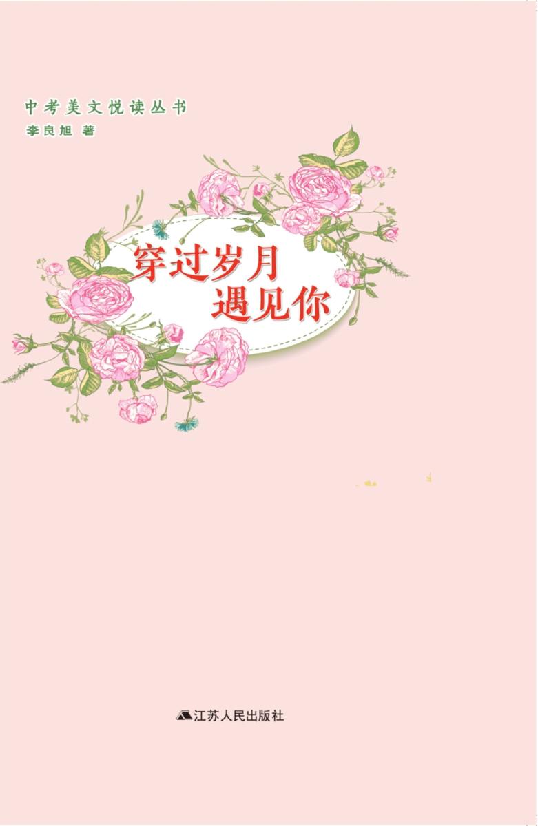 穿过岁月遇见你