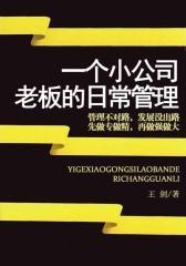 一个小公司老板的日常管理