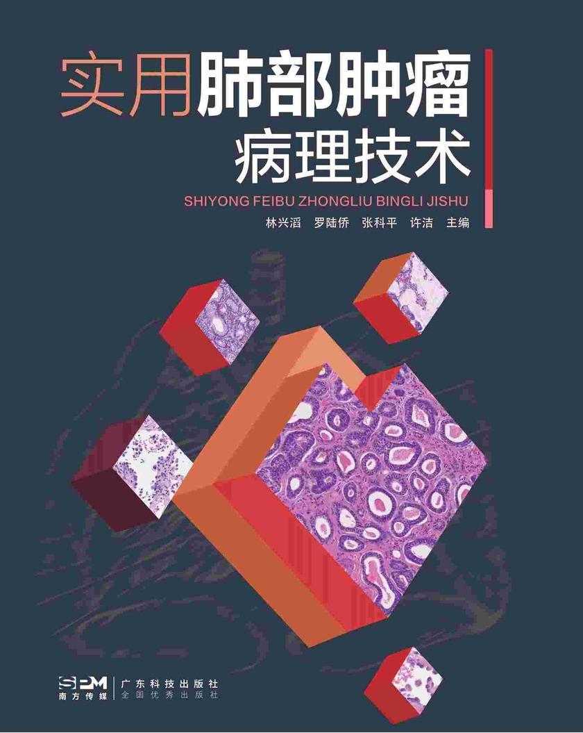 实用肺部肿瘤病理技术