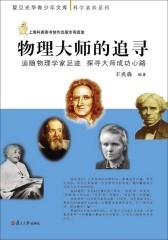 物理大师的追寻：追随物理学家足迹,探寻大师成功心路