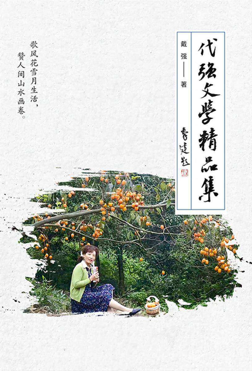 代强文学精品集