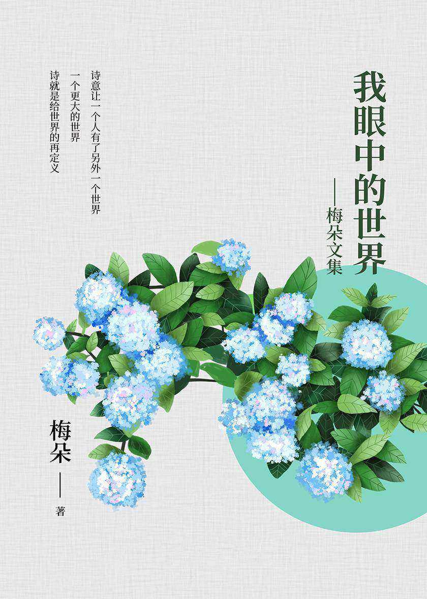 我眼中的世界--梅朵文集