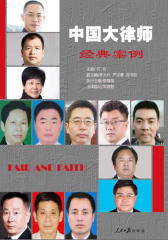 中国大律师经典案例