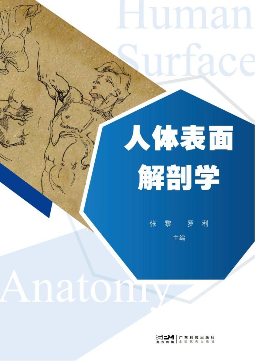 人体表面解剖学