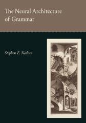 The Neural Architecture of Grammar