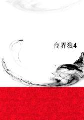 商界狼4