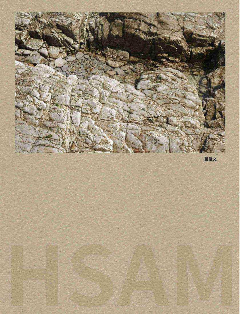 HSAM