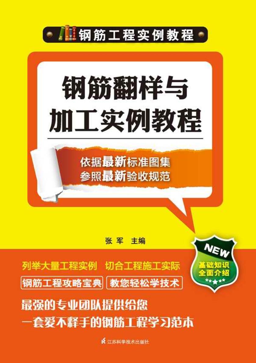 钢筋翻样与加工实例教程