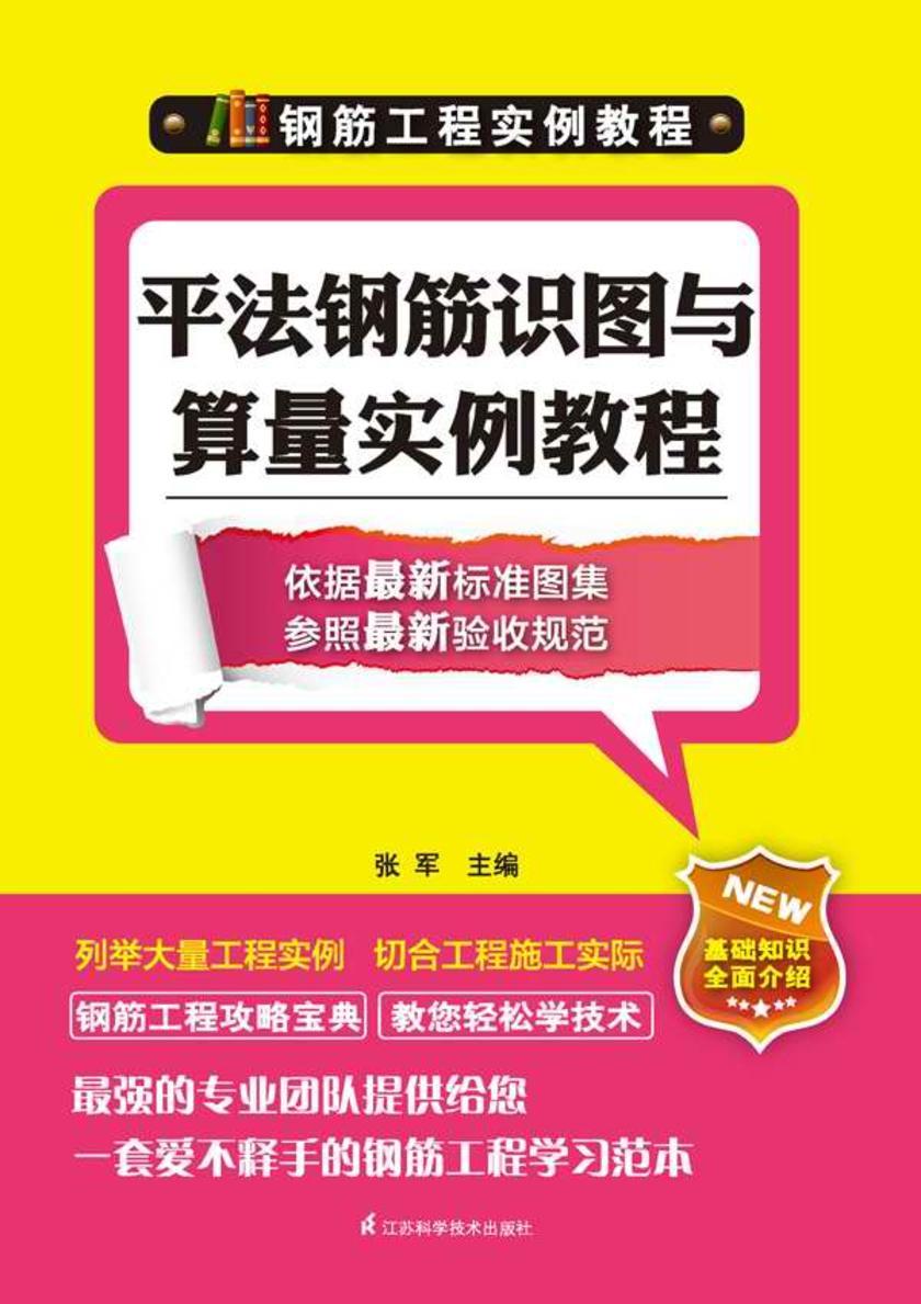 平法钢筋识图与算量实例教程