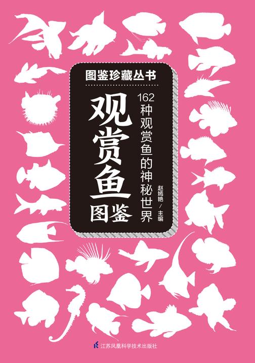 观赏鱼图鉴
