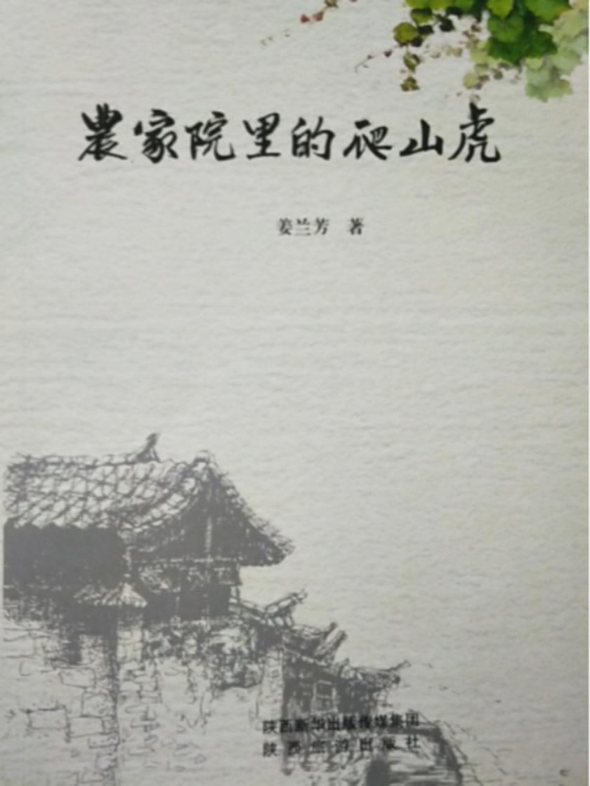 农家院里的爬山虎