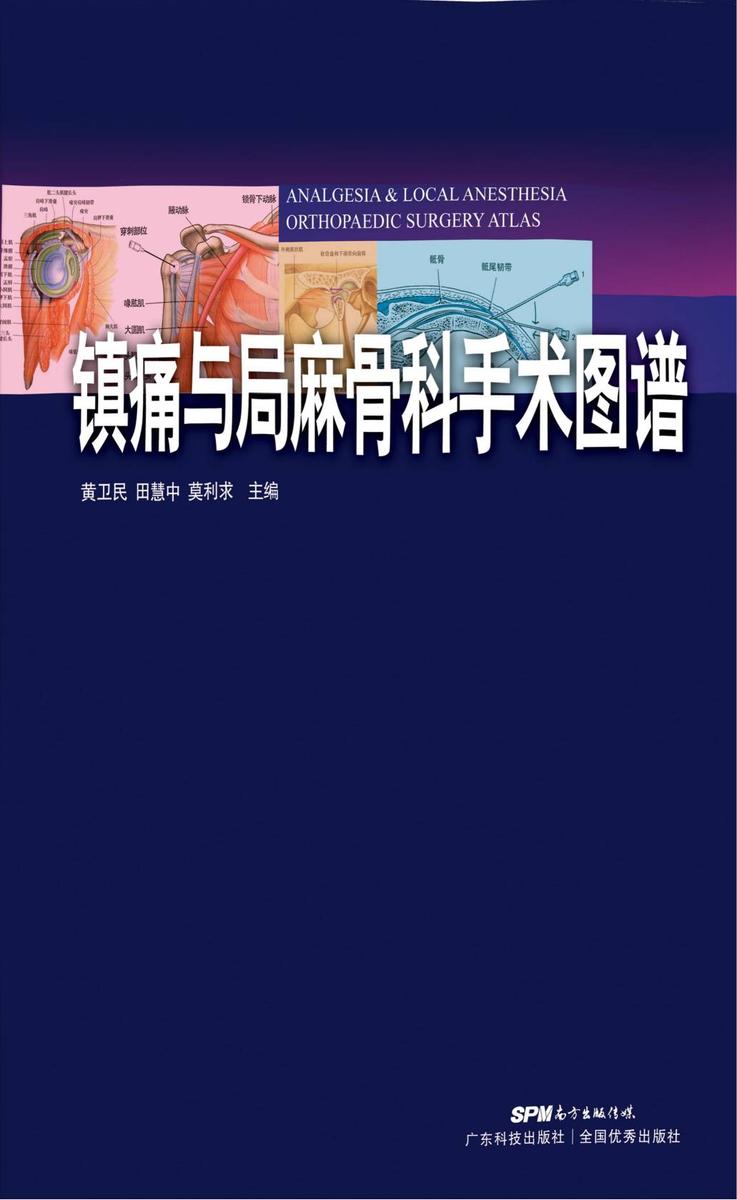 镇痛与局麻骨科手术图谱