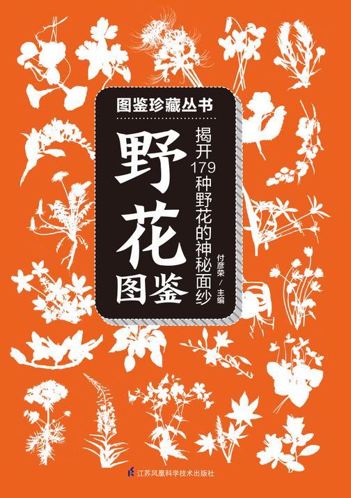 野花图鉴