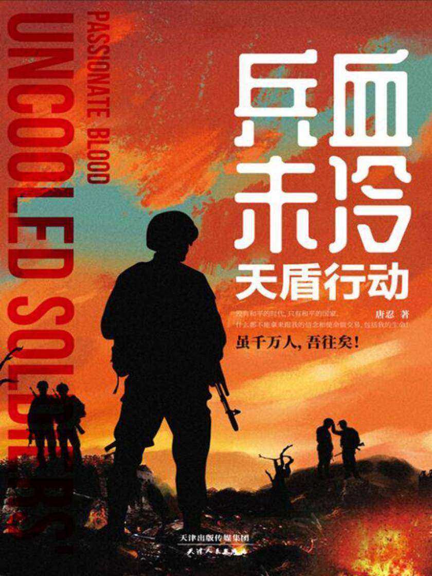 兵血未冷:天盾行动