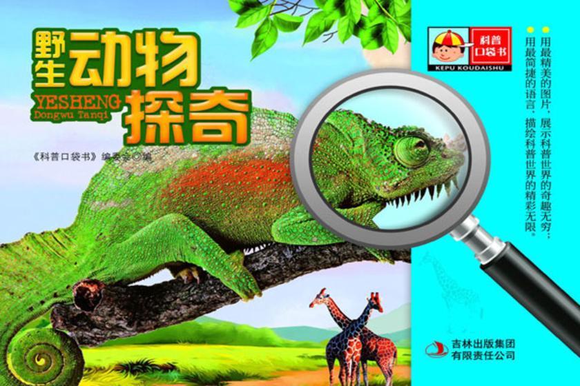 野生动物探奇