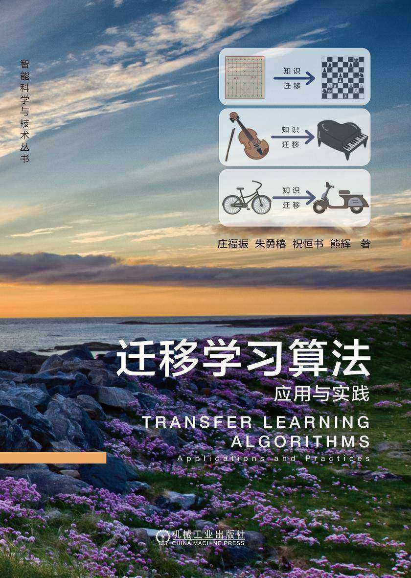 迁移学习算法:应用与实践
