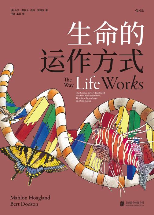 生命的运作方式(生物学家与艺术家的妙趣合作,探索从微观生物到宏观世界的生命同一性,人人都能看懂的生物学内容,掌握现代生命科学的基本知识!后浪出品)