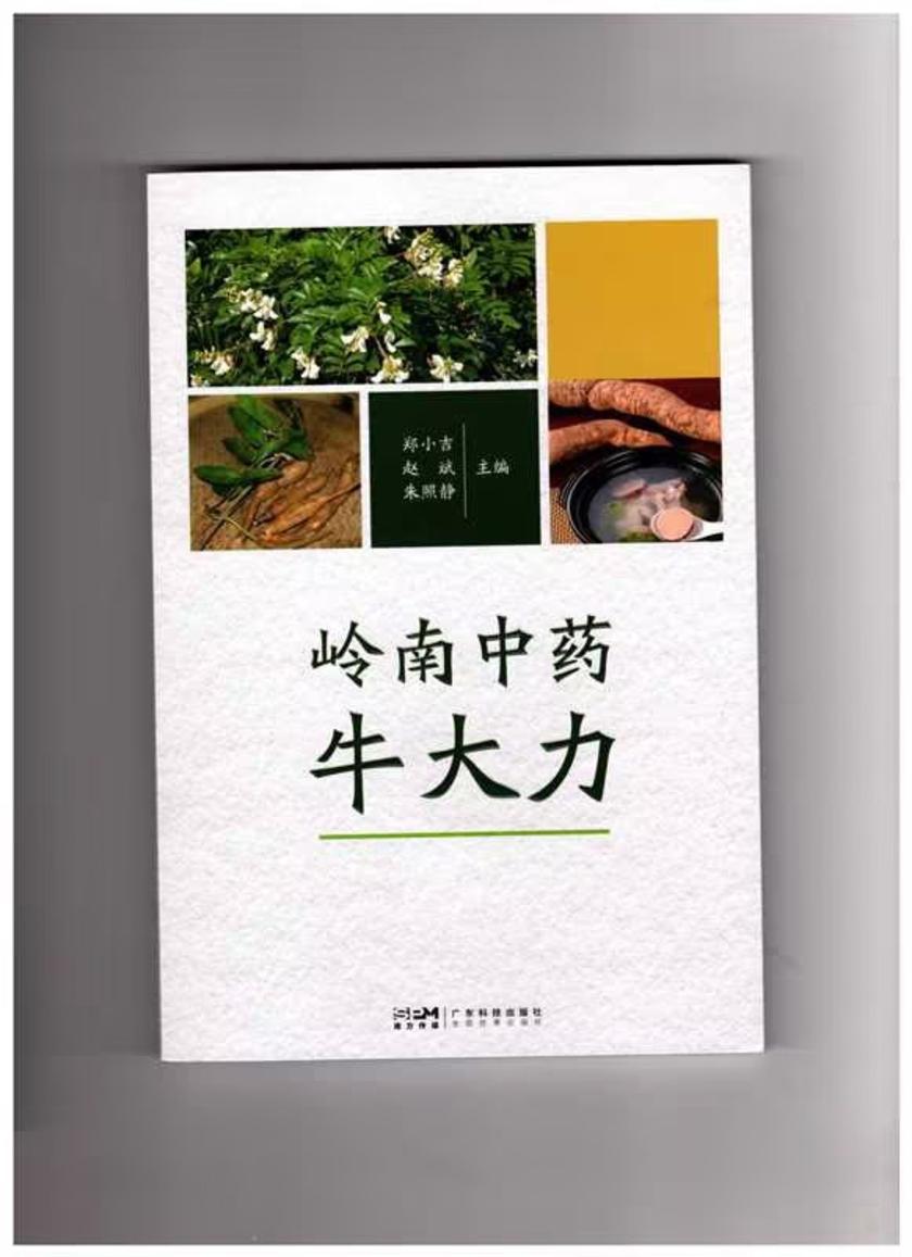 岭南中药牛大力