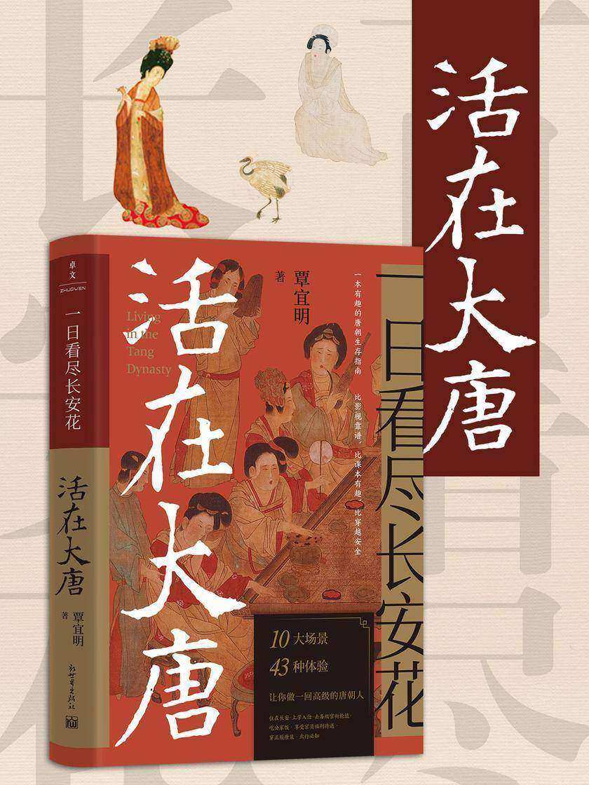 一日看尽长安花:活在大唐