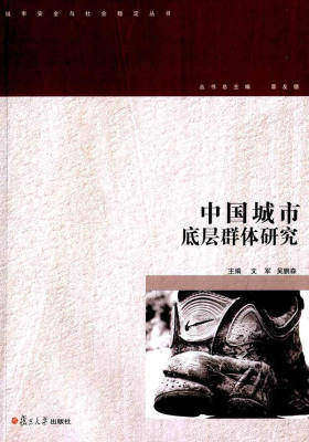 中国城市底层群体研究