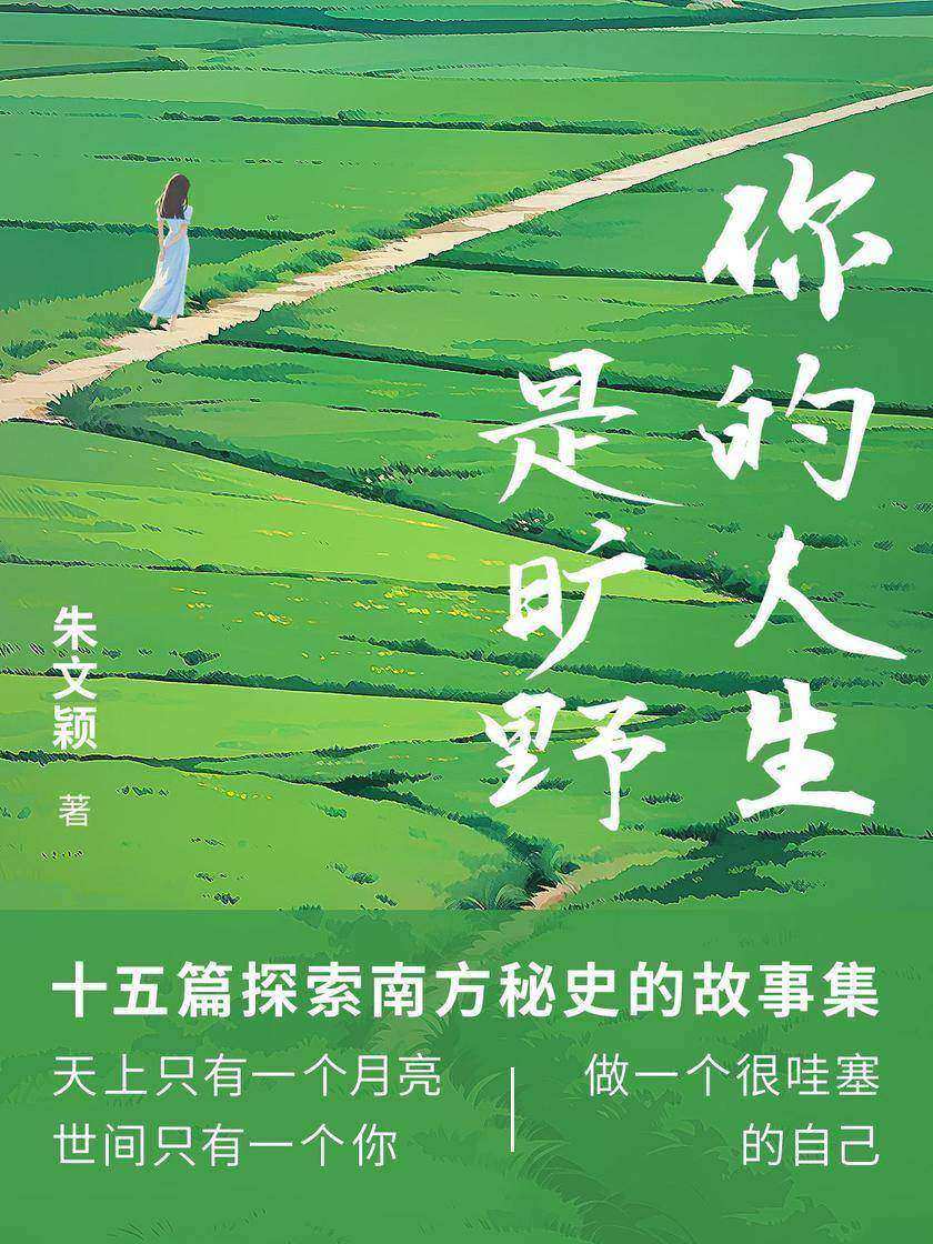 你的人生是旷野:朱文颖精选集