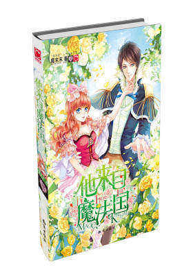 他来自魔法国(试读本)