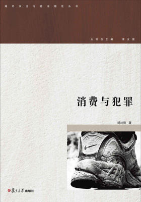 城市安全与社会稳定丛书:消费与犯罪