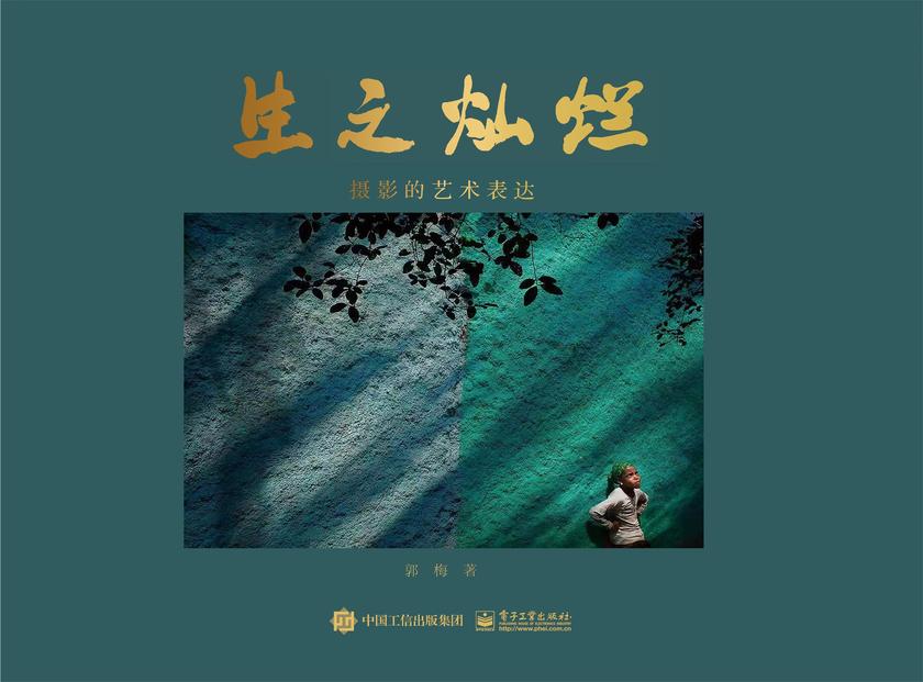 生之灿烂——摄影的艺术表达(精装版)