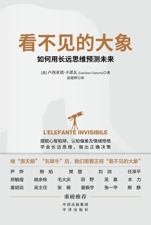 看不见的大象