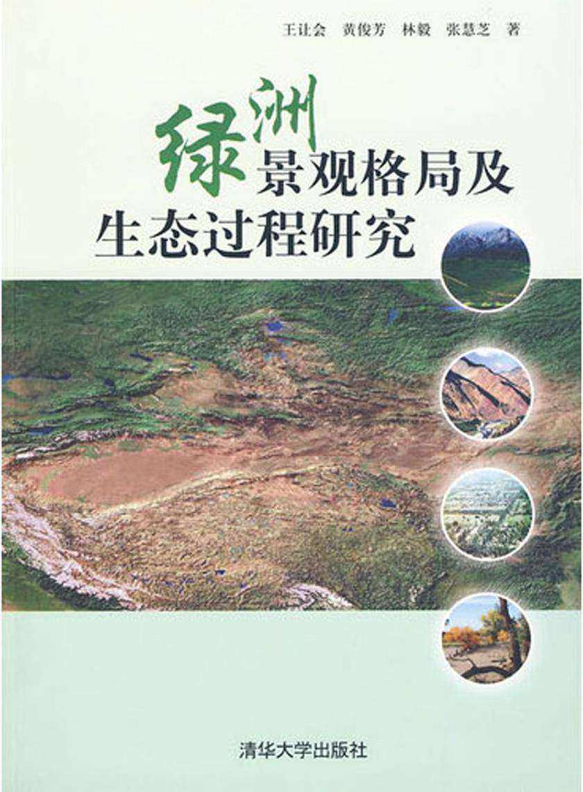 绿洲景观格局及生态过程研究