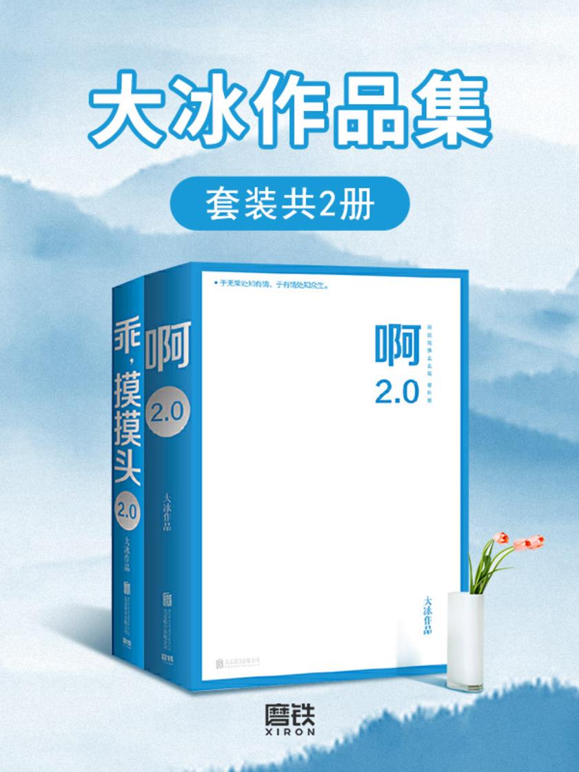 大冰作品集(套装共2册)