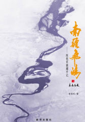 南疆飞鸿：一本关于援疆工作的智慧书(试读本)