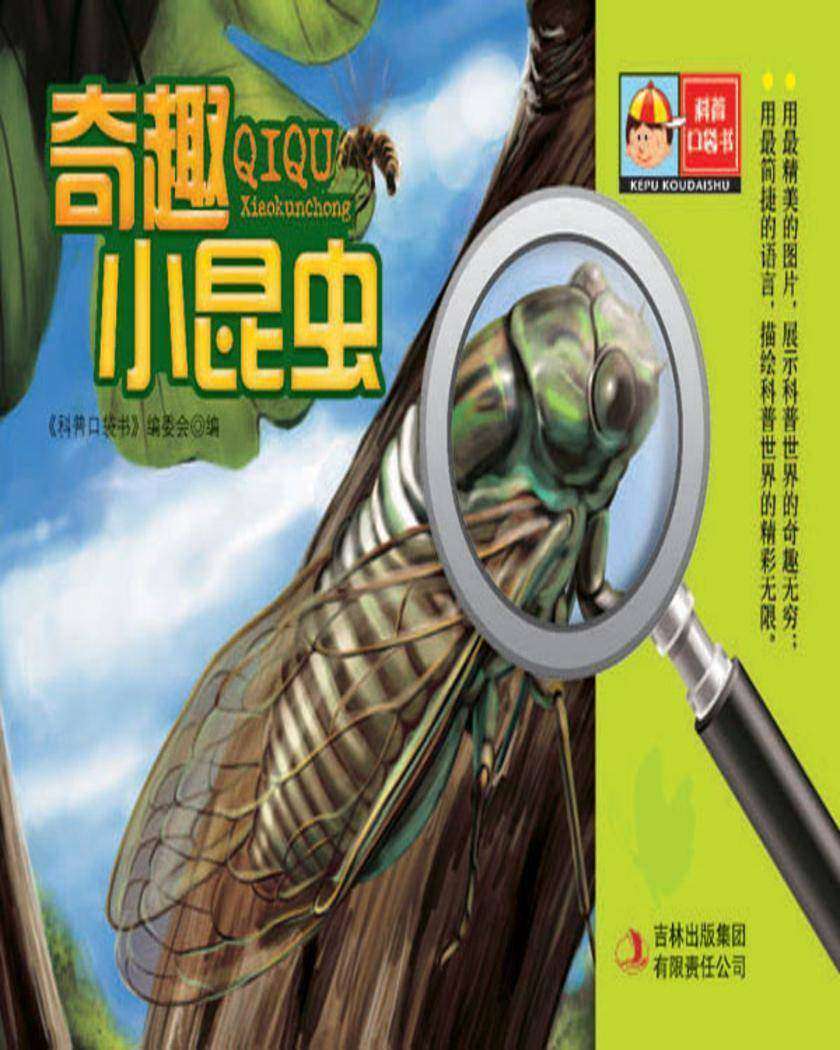 奇趣小昆虫