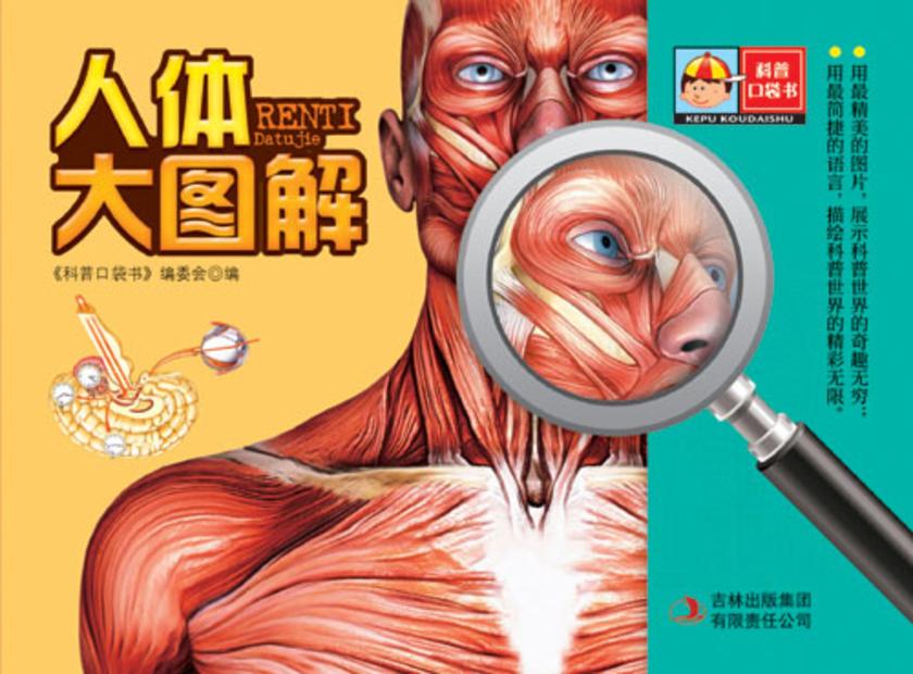人体大图解