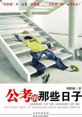 公考的那些日子