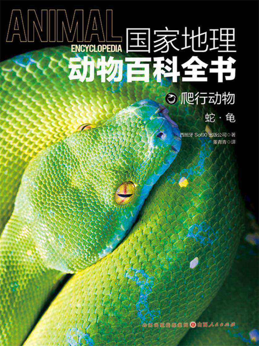爬行动物:蛇·龟(国家地理动物百科全书)