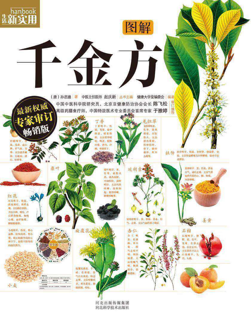 图解千金方