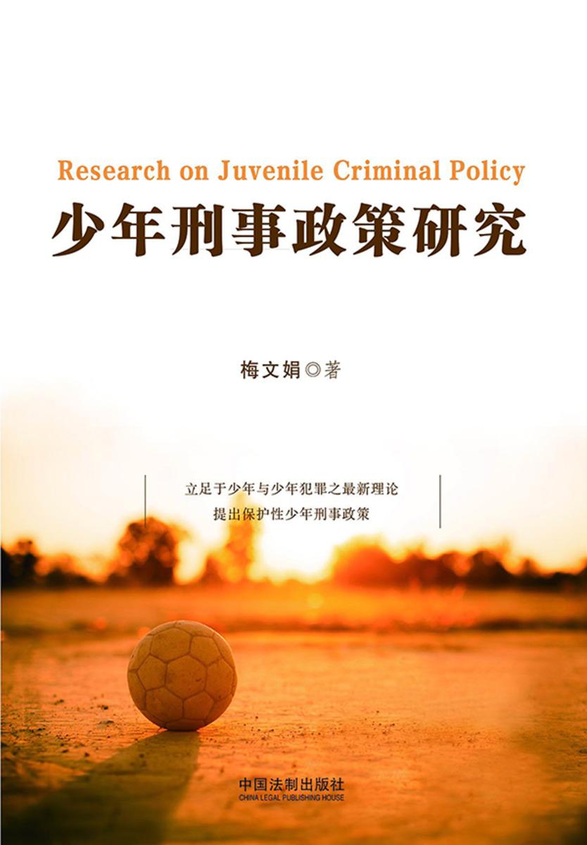少年刑事政策研究
