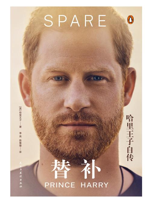 替补:哈里王子自传