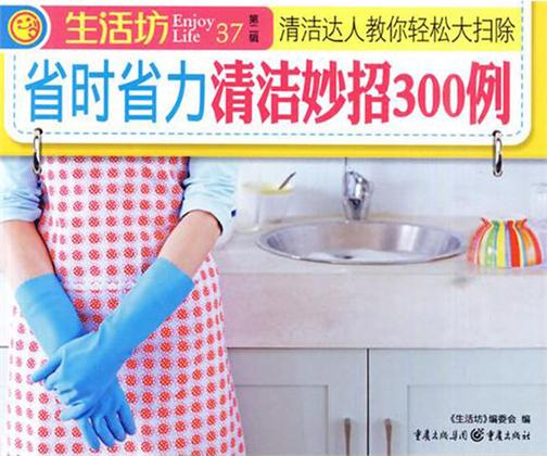 省时省力清洁妙招300例