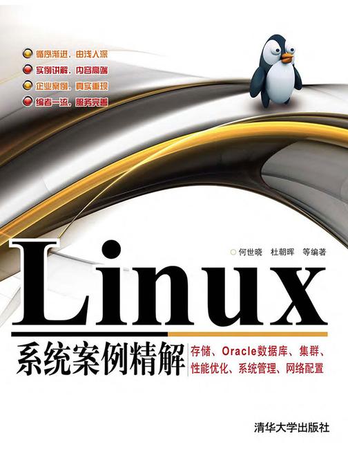 Linux系统案例精解——存储、Oracle数据库、集群、性能优化、系统管理、网络配置