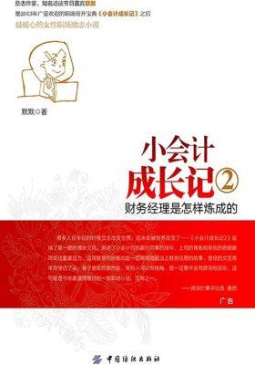 小会计成长记2