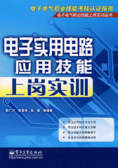 电子实用电路应用技能上岗实训(试读本)