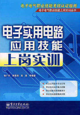 电子实用电路应用技能上岗实训(试读本)