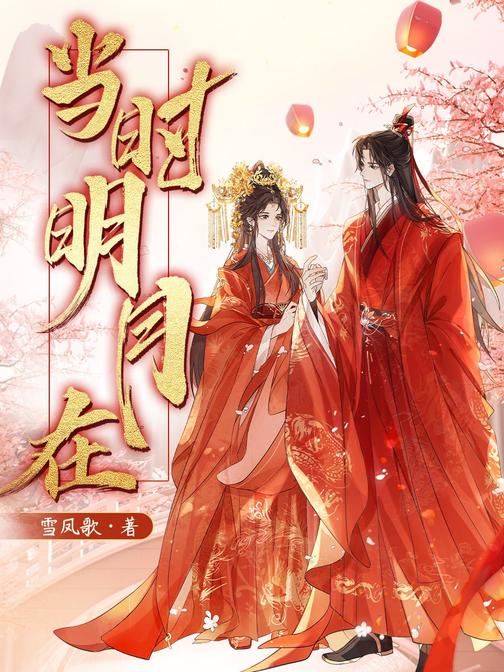 当时明月在