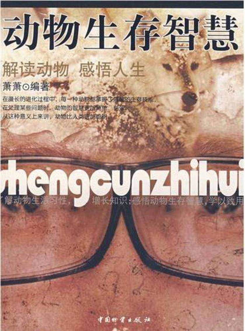动物生存智慧