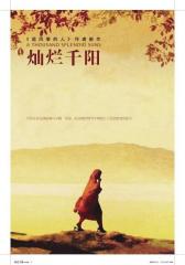灿烂千阳(试读本)