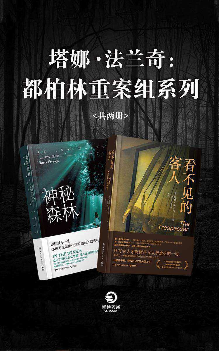 塔娜·法兰奇：都柏林重案组系列