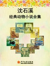 沈石溪经典动物小说合集(套装共11本)