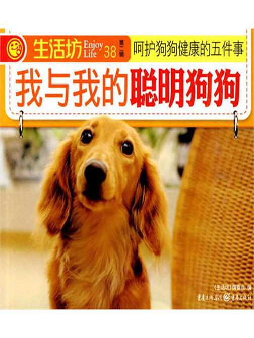 我与我的聪明狗狗